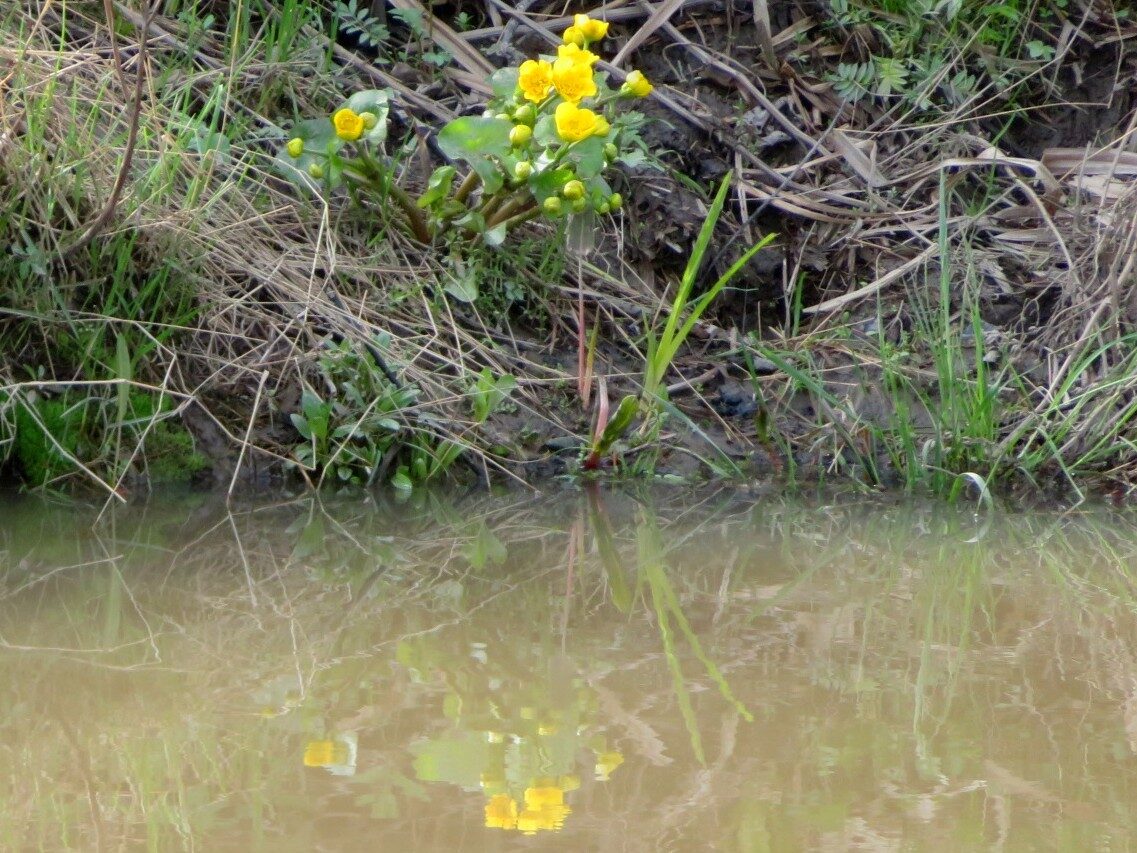 Valokuvaaja: Risto Kangassalo