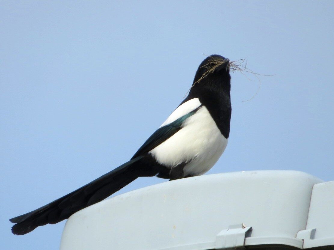 Valokuvaaja: Risto Kangassalo