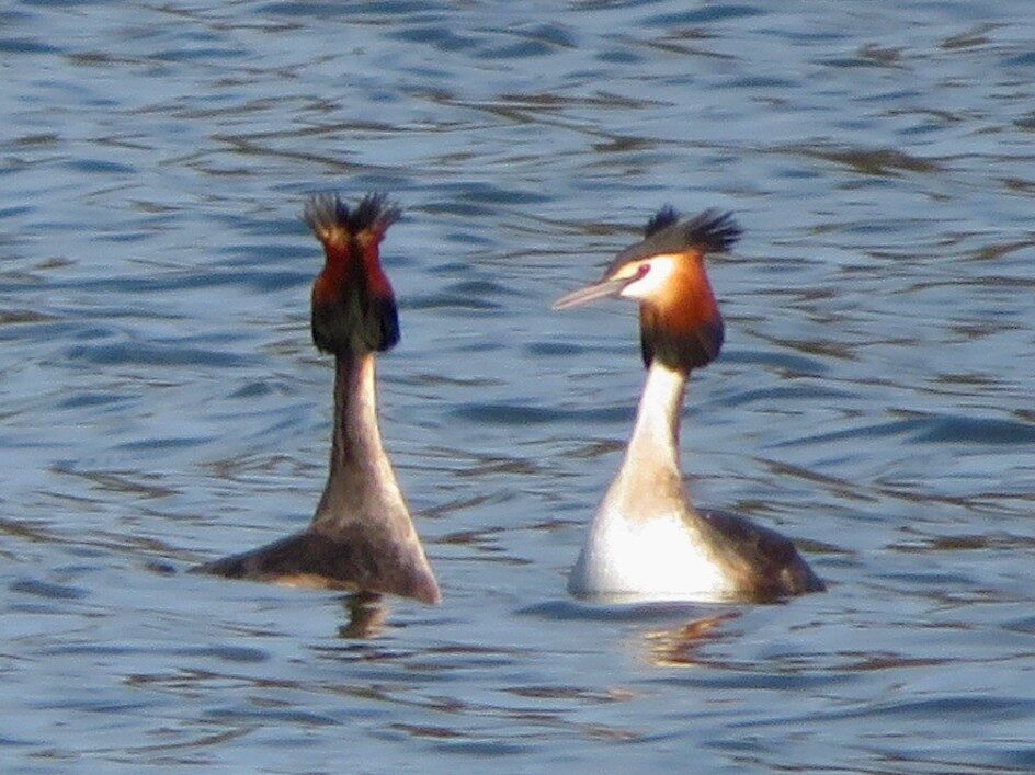 Valokuvaaja: Risto Kangassalo