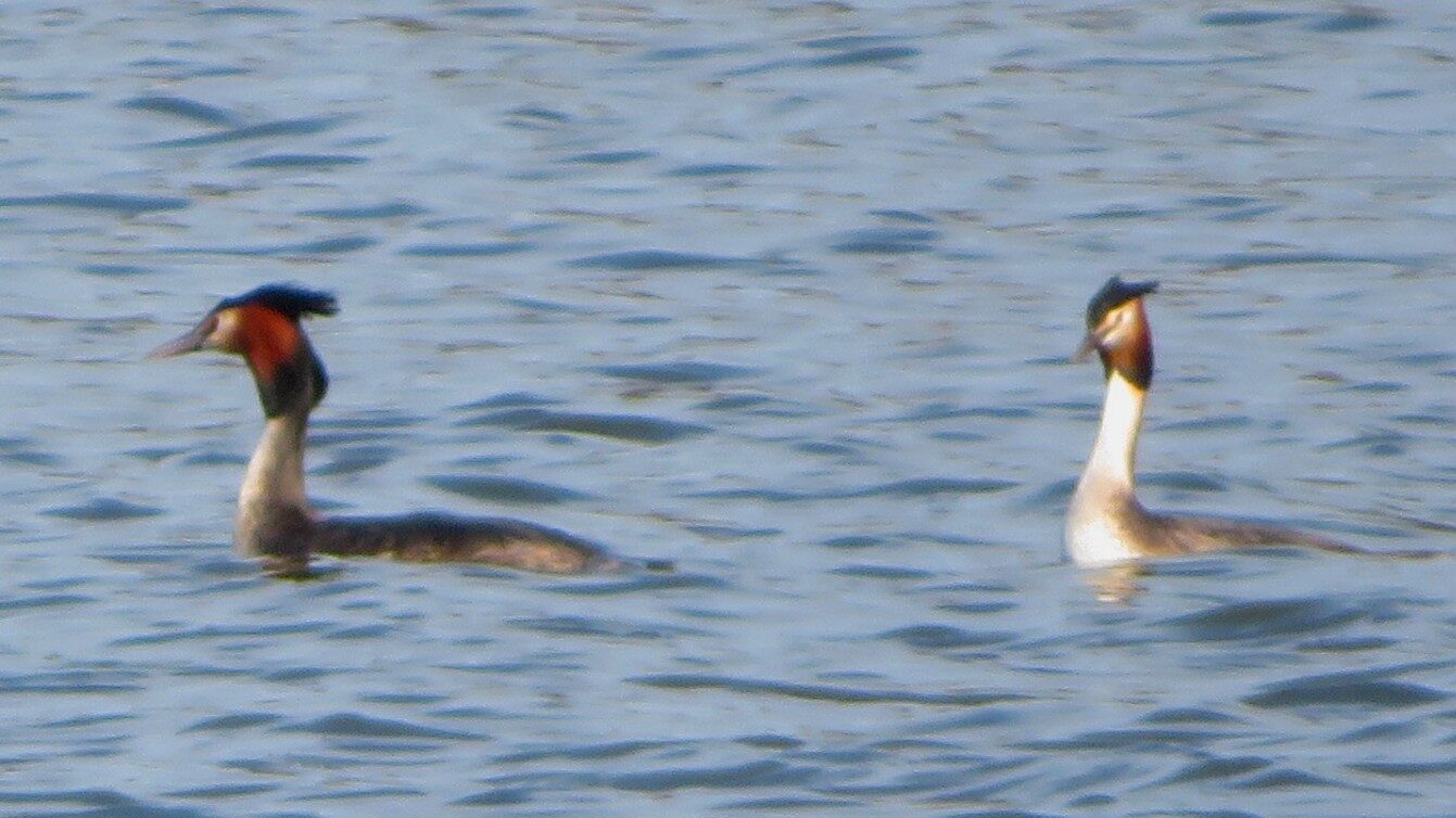 Valokuvaaja: Risto Kangassalo