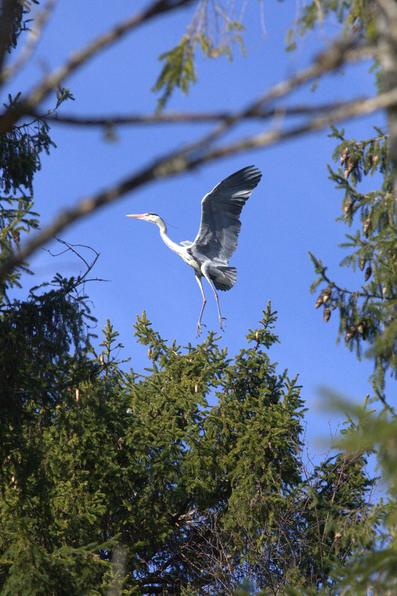 Valokuvaaja: tapio keinonen