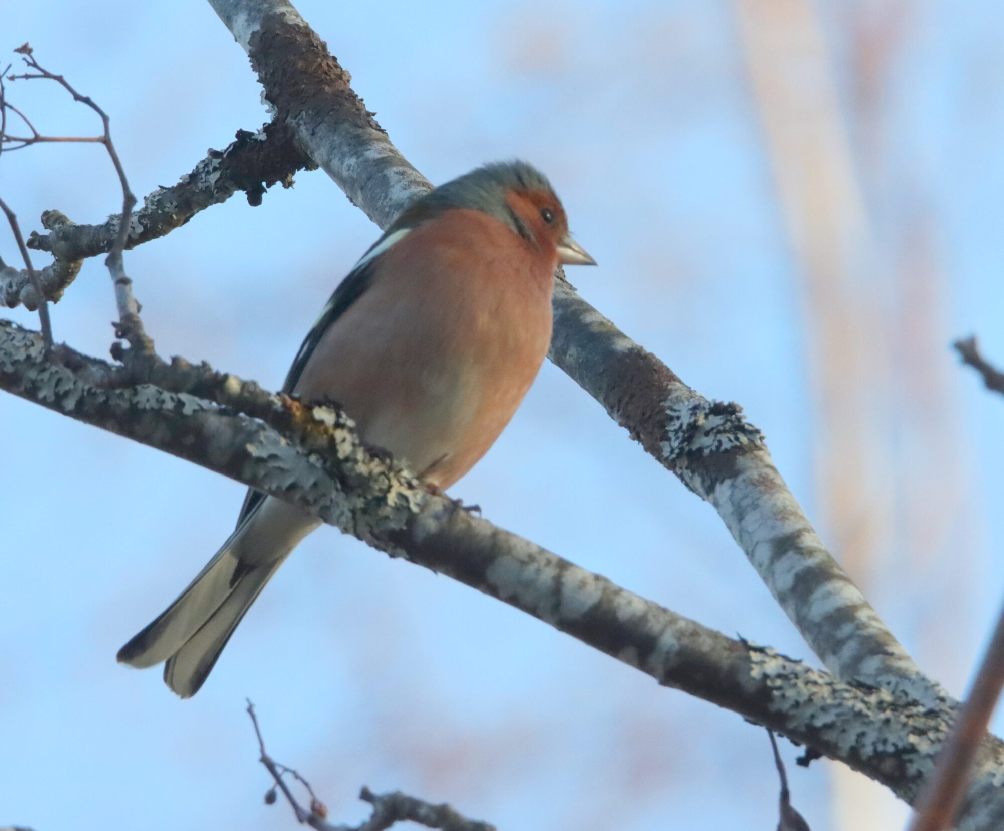Valokuvaaja: Irja Lehtinen