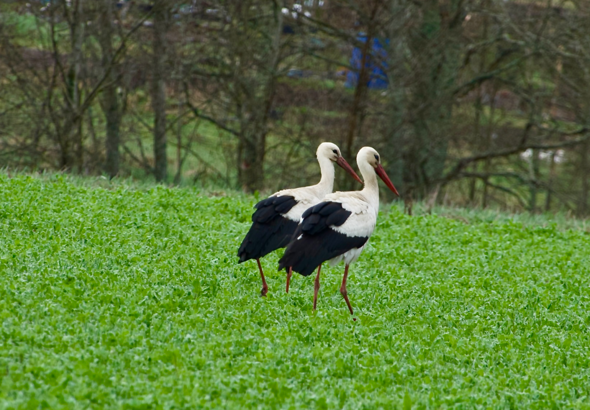 Valokuvaaja: Juha Naukkarinen