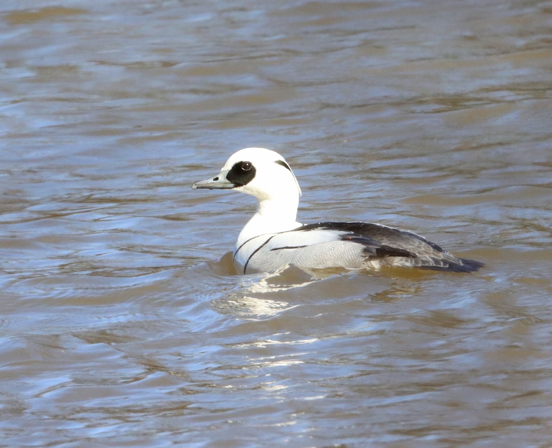 Valokuvaaja: Irja Lehtinen