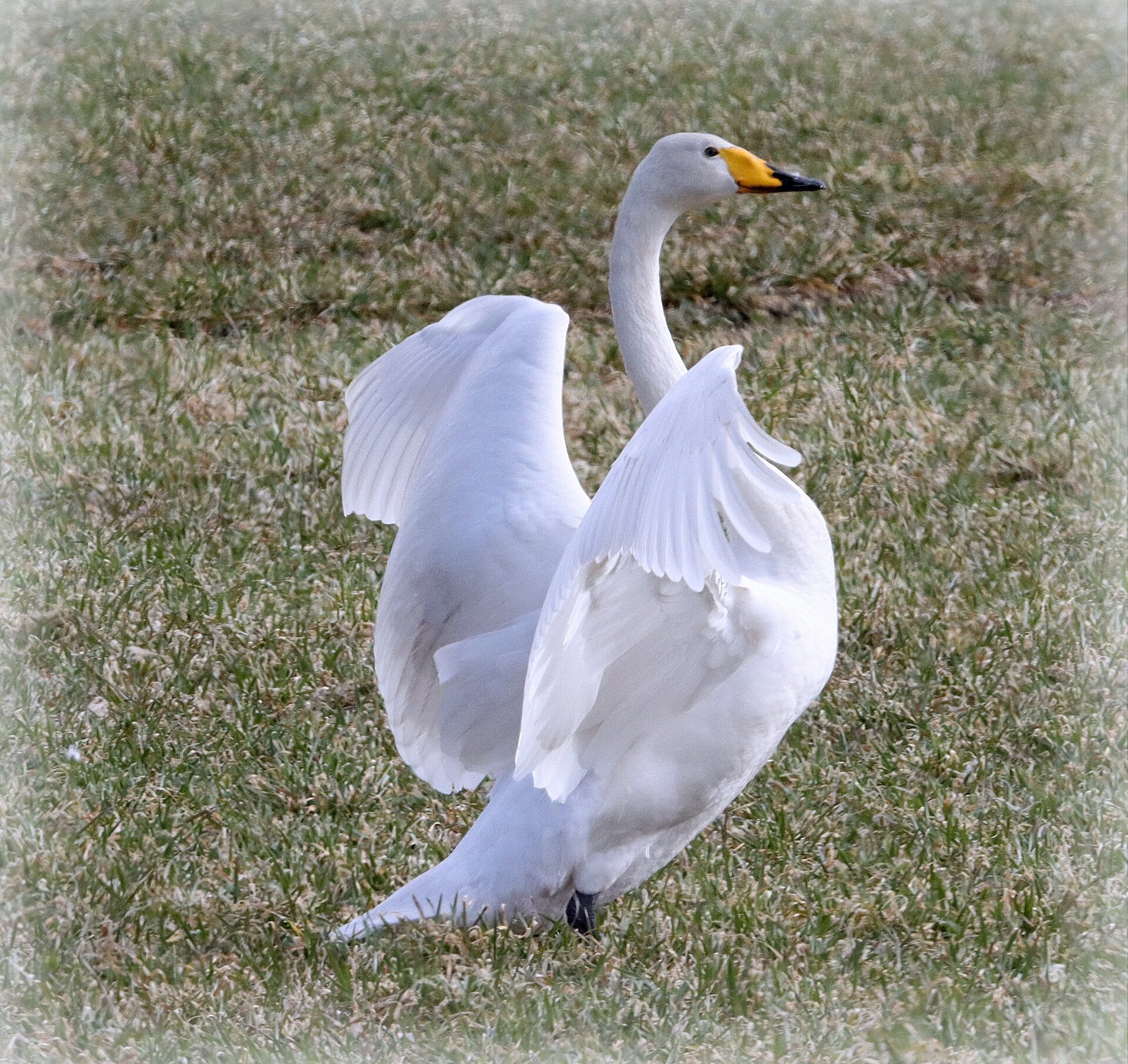 Valokuvaaja: Irja Lehtinen