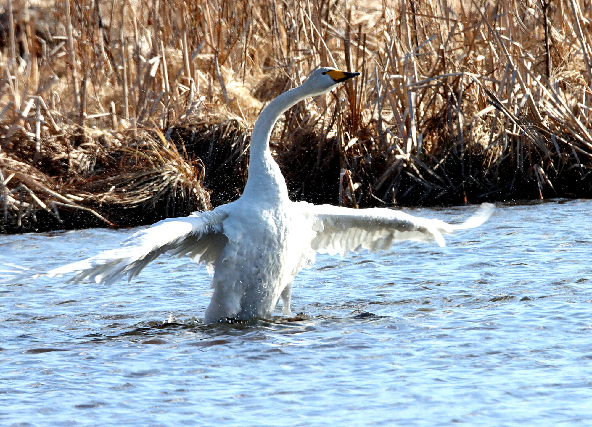 Valokuvaaja: Irja Lehtinen