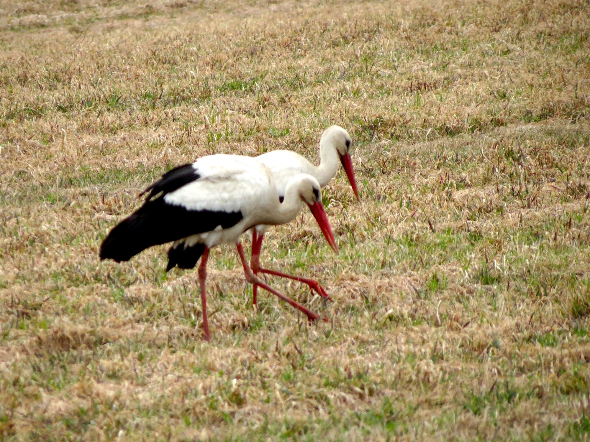 Valokuvaaja: Sakari Palmio