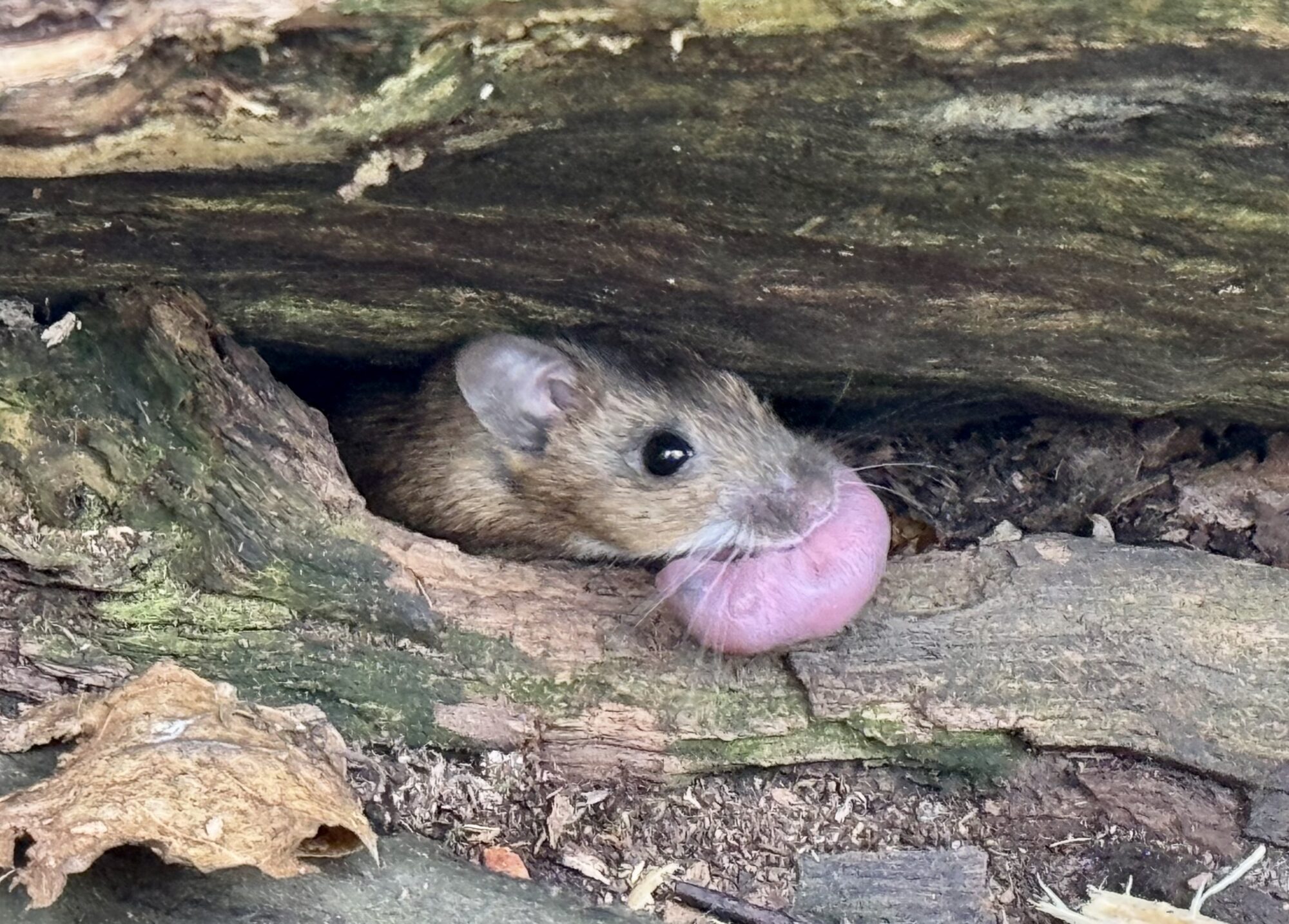 Valokuvaaja: Juhani Peltonen