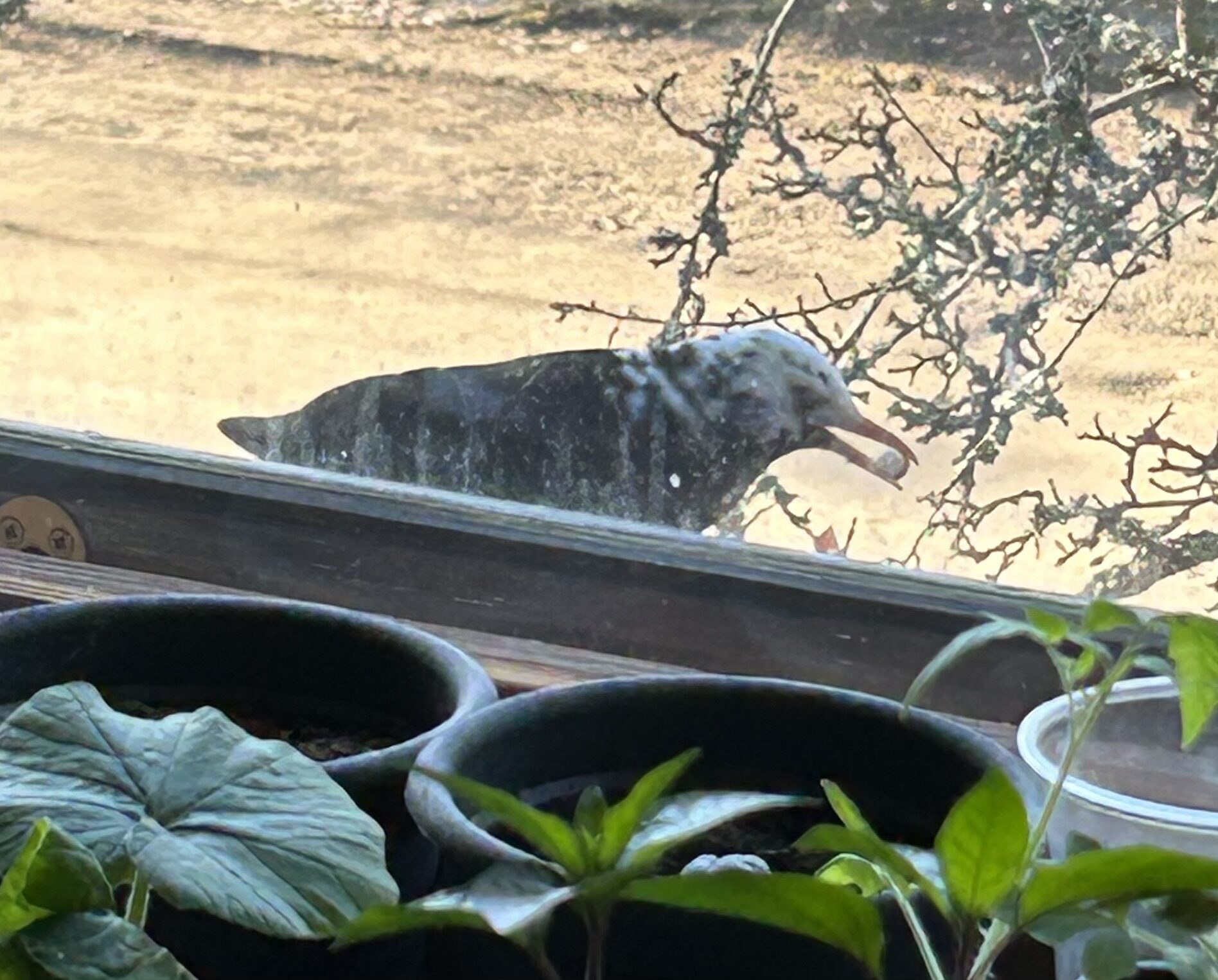 Valokuvaaja: Anne Alkio