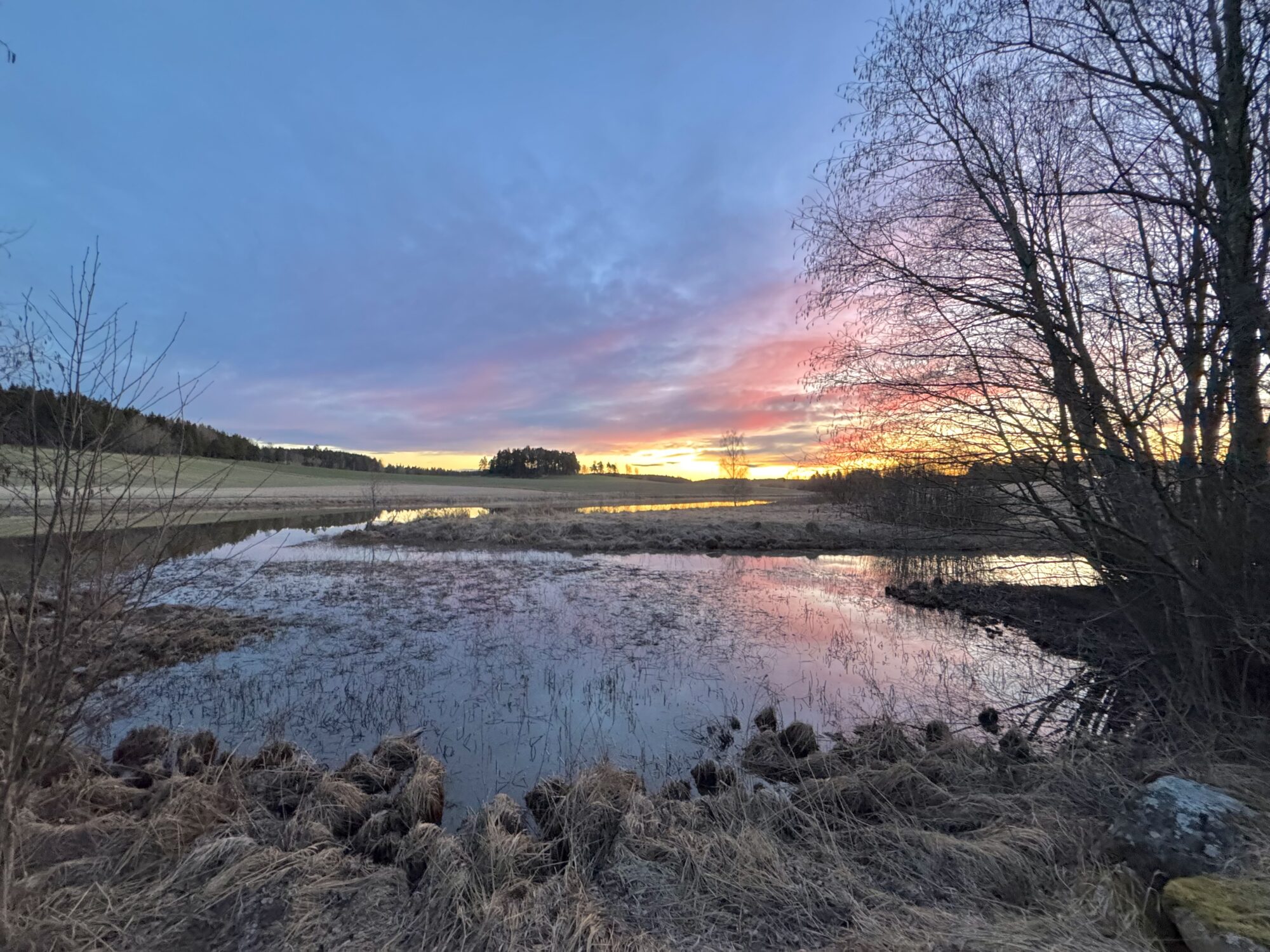 Valokuvaaja: Juhani Peltonen