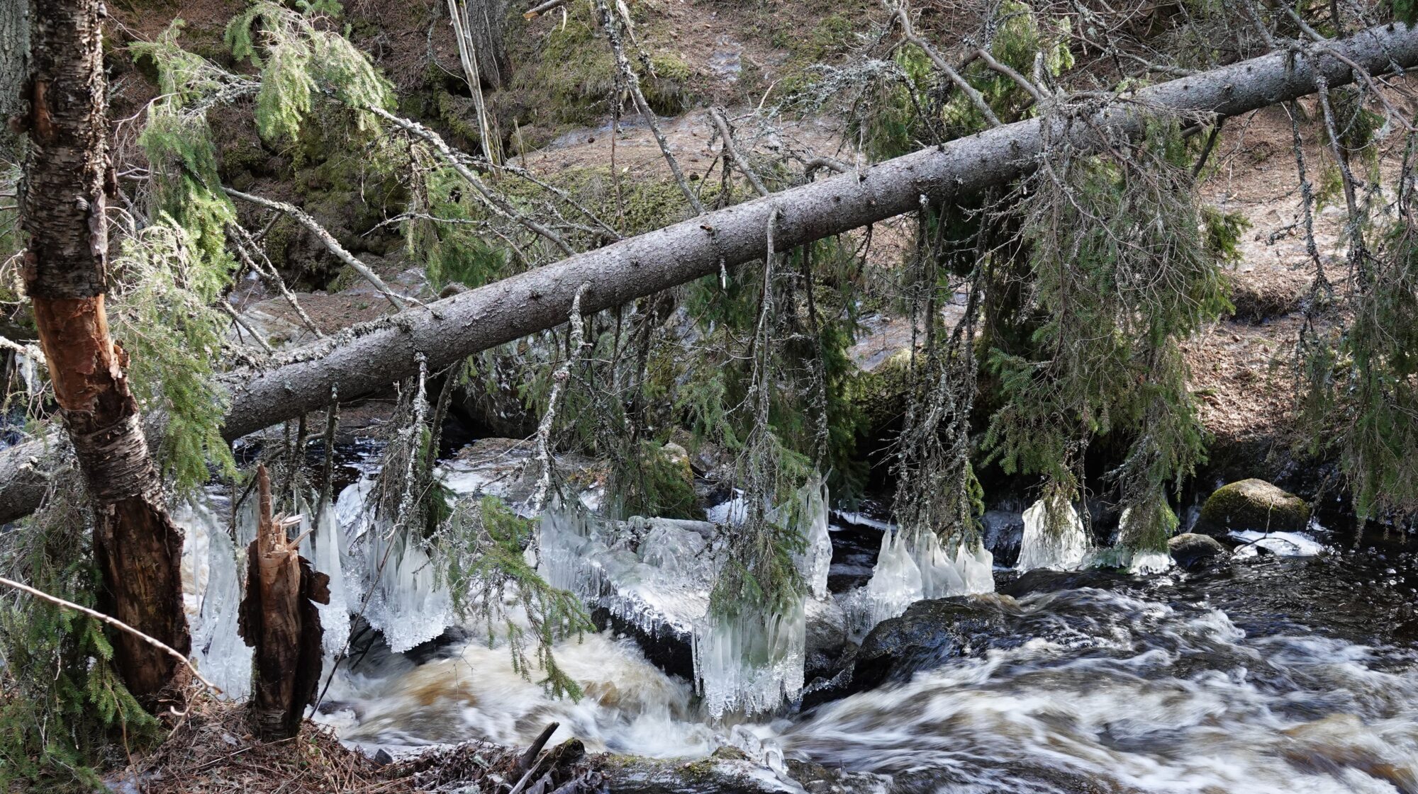 Valokuvaaja: Kaarina Heiskanen