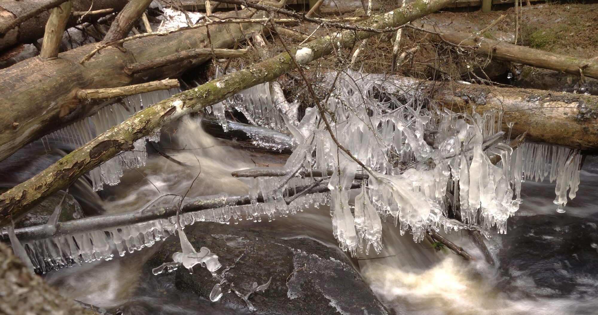 Valokuvaaja: Kaarina Heiskanen