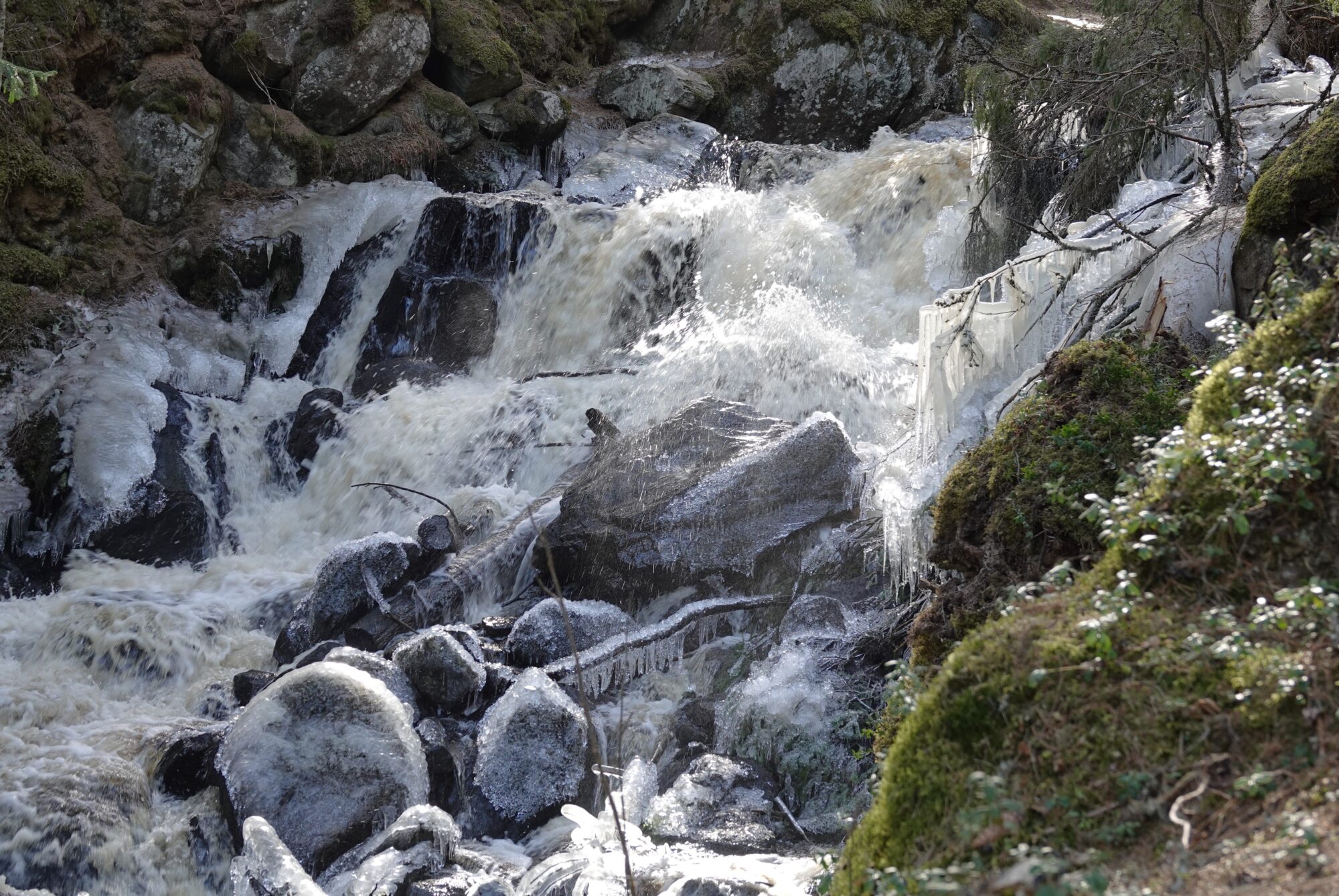 Valokuvaaja: Kaarina Heiskanen