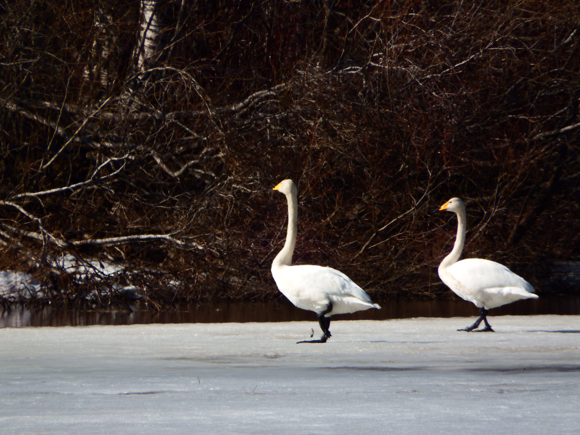 Valokuvaaja: Toni Asikainen