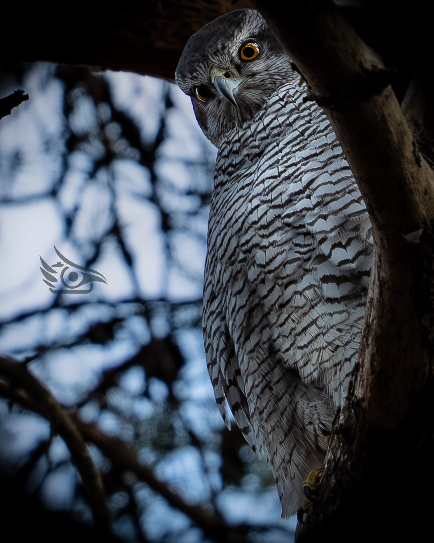 Valokuvaaja: Milla Rannila