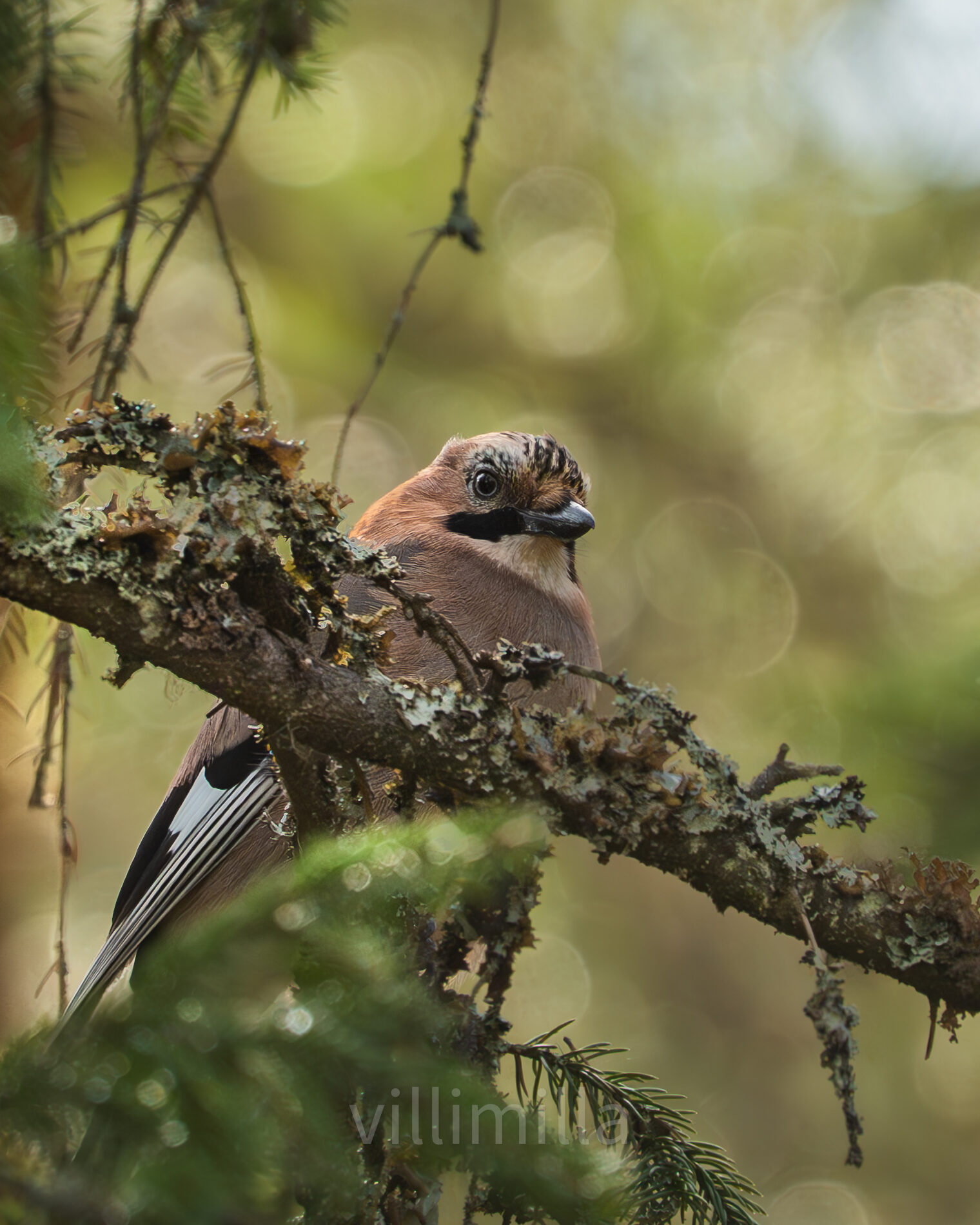 Valokuvaaja: Milla Rannila