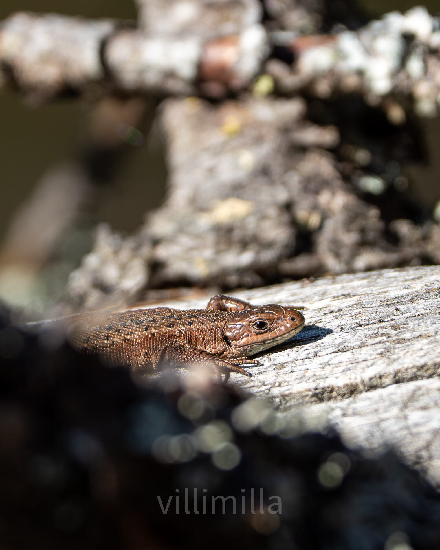 Valokuvaaja: Milla Rannila