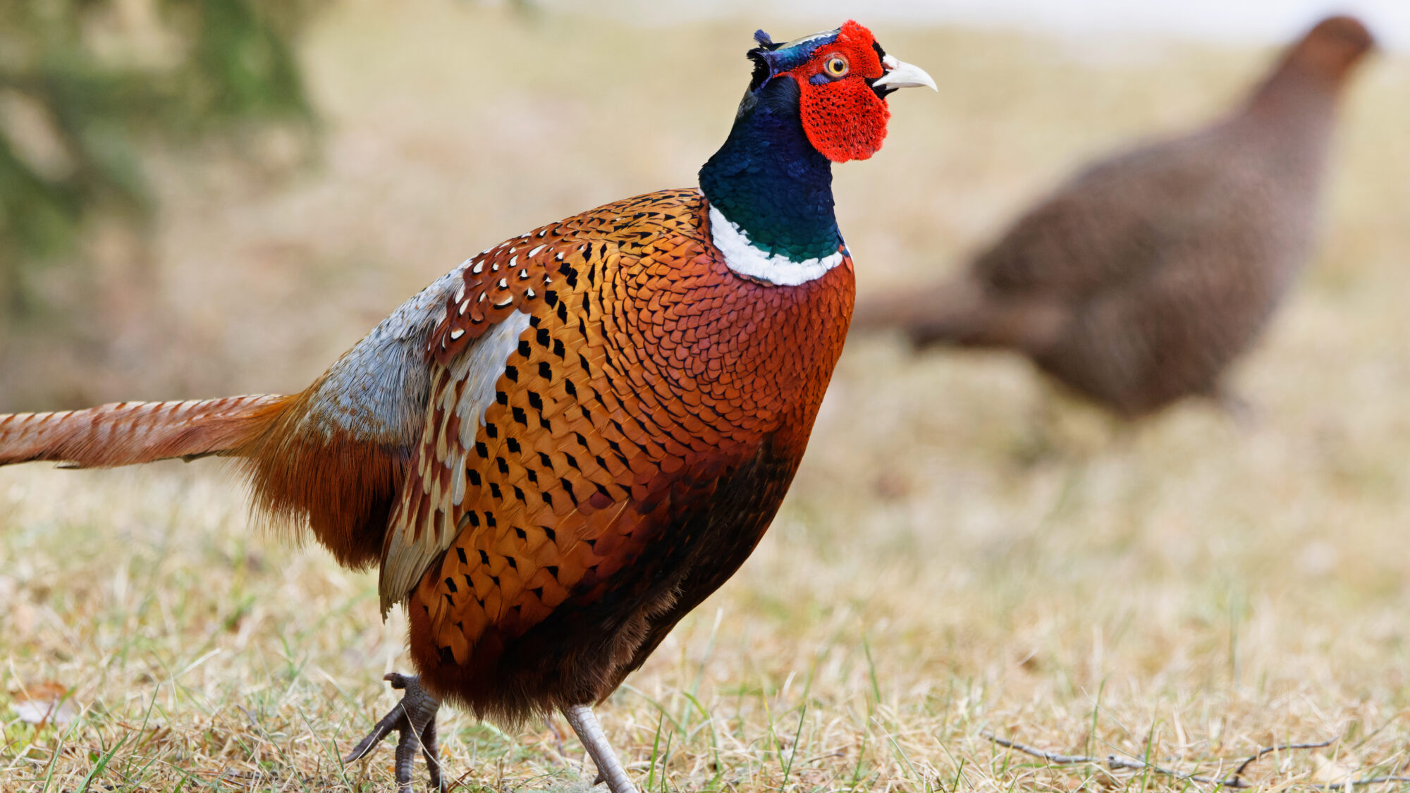 Valokuvaaja: Tommi Kujala