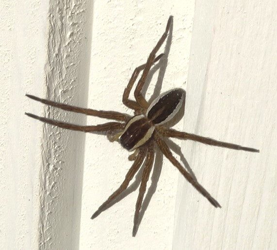 Valokuvaaja: Kaarina Heiskanen