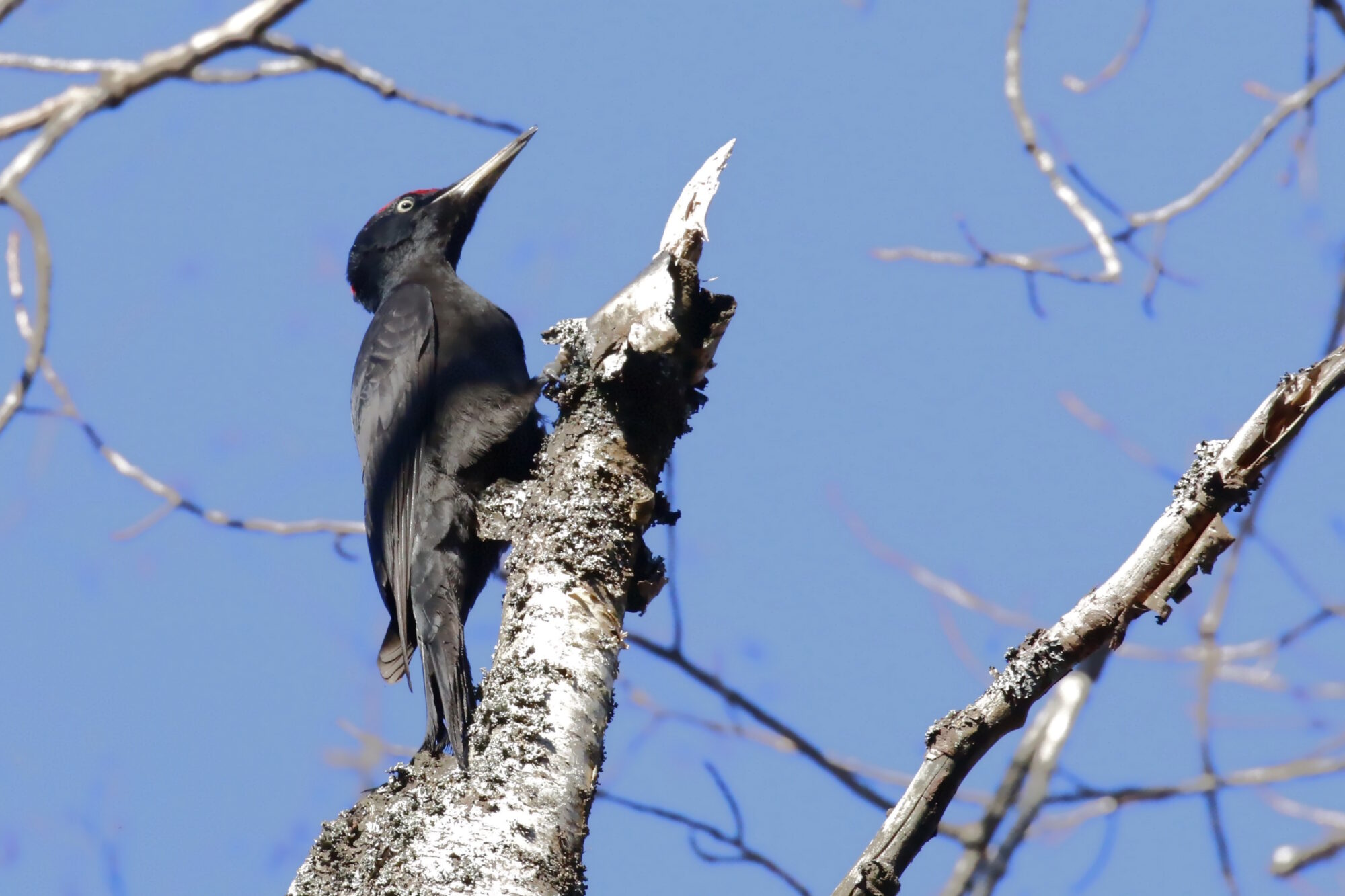 Valokuvaaja: Antero Tykkyläinen