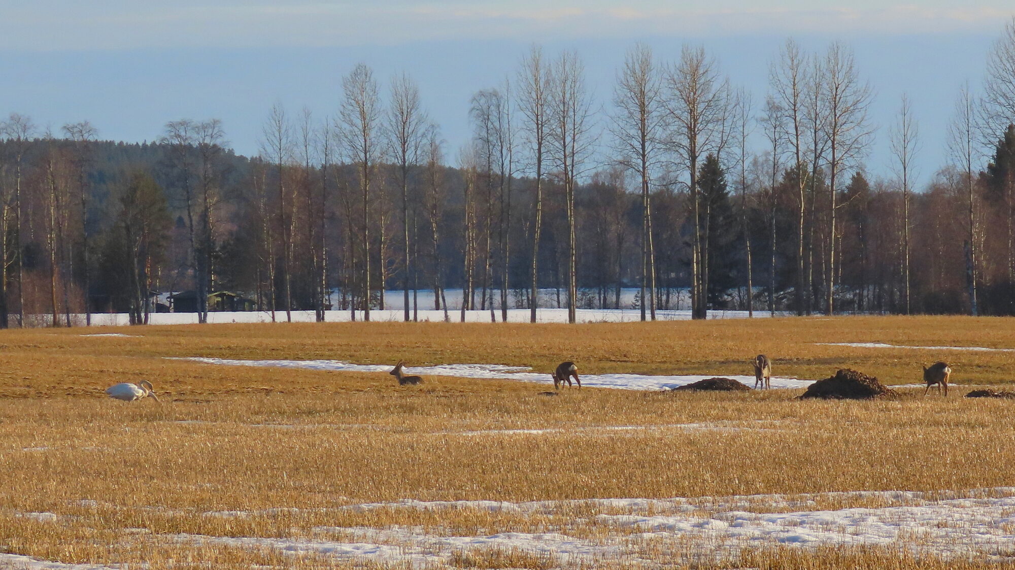 Valokuvaaja: Mikko Kujala