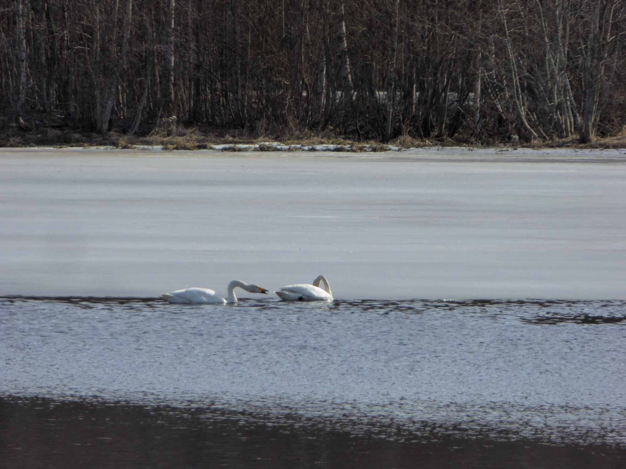 Valokuvaaja: Toni Asikainen
