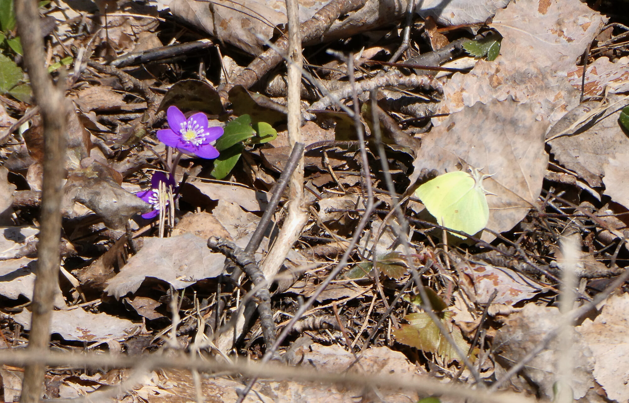 Valokuvaaja: Liisa Niiva-Korpela