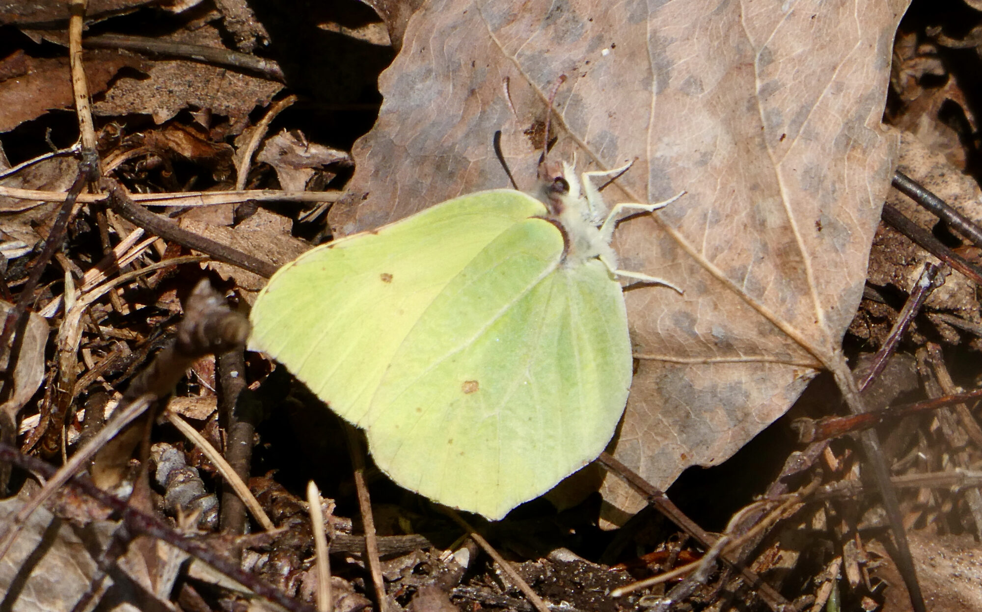 Valokuvaaja: Liisa Niiva-Korpela