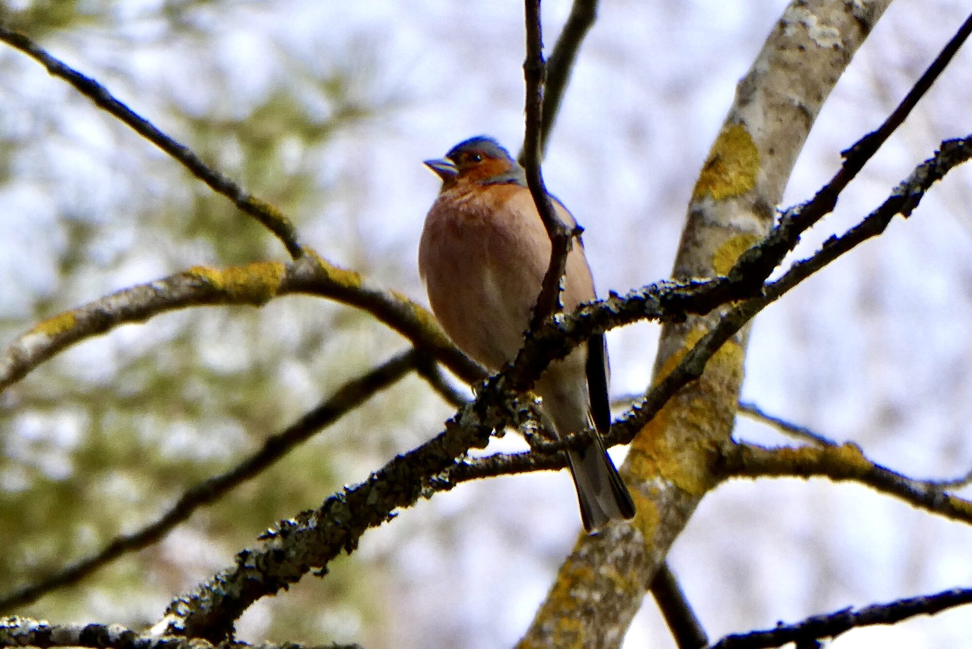 Valokuvaaja: Liisa Niiva-Korpela