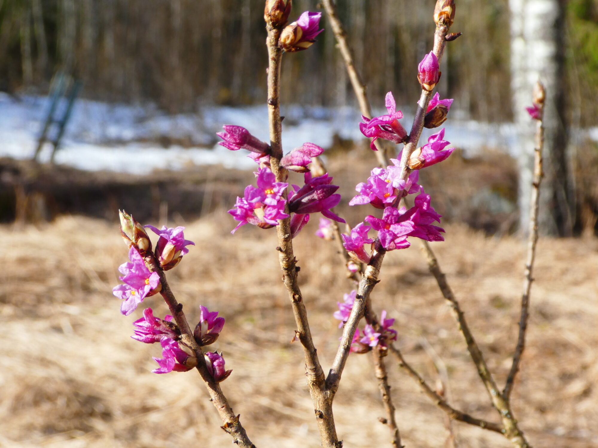 Valokuvaaja: Anja Mustamaa