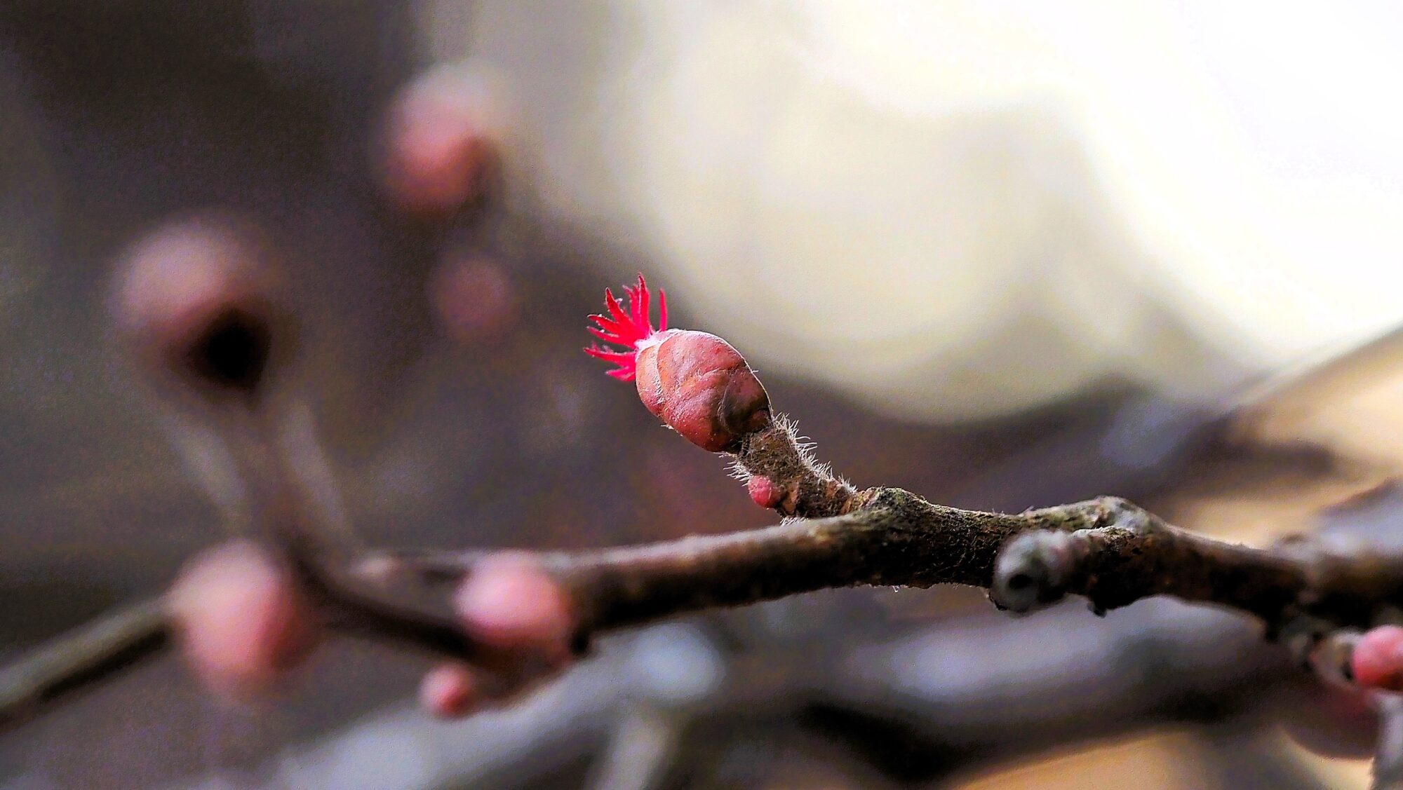 Valokuvaaja: Arja Valtonen