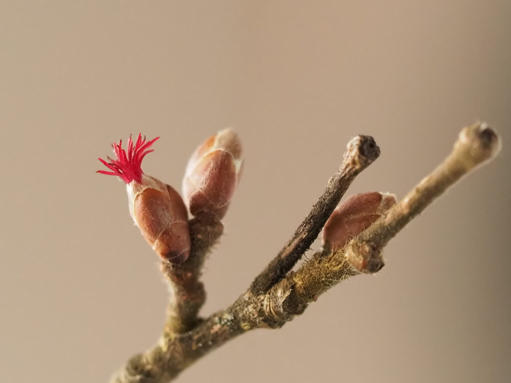 Valokuvaaja: Martti Valtonen