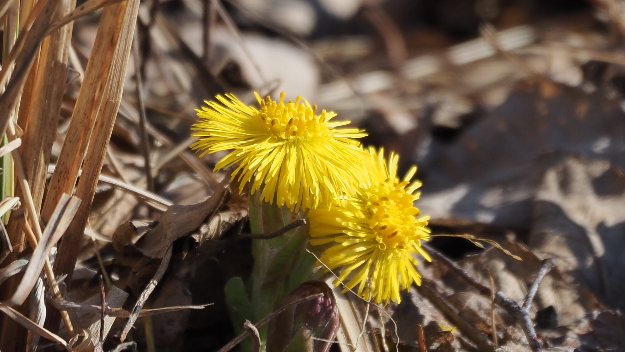 Valokuvaaja: Arja Valtonen