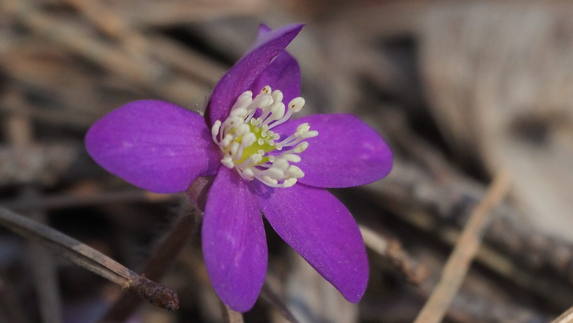 Valokuvaaja: Arja Valtonen