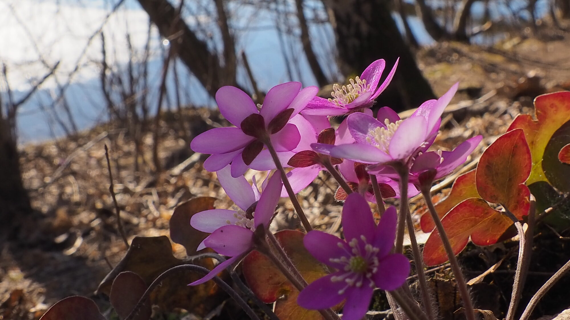 Valokuvaaja: Martti Valtonen