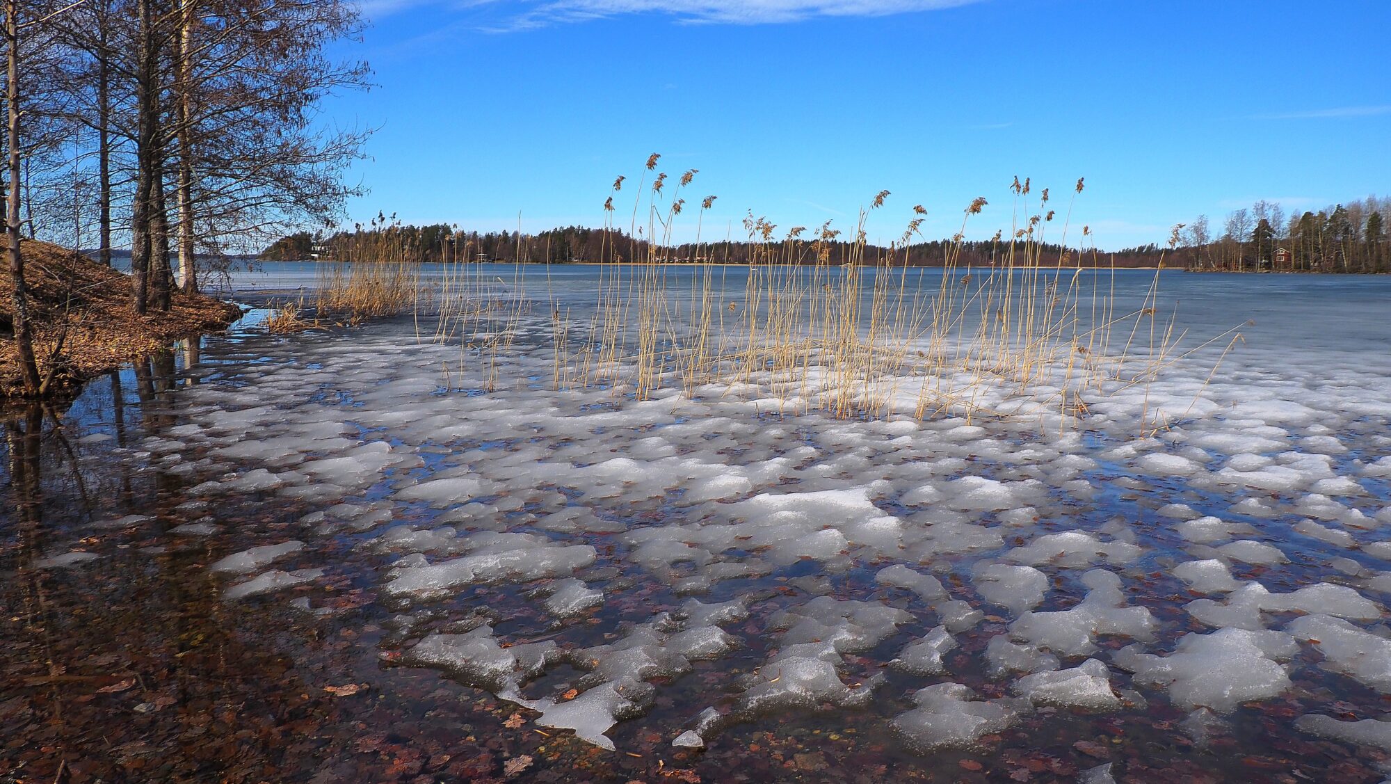 Valokuvaaja: Arja Valtonen