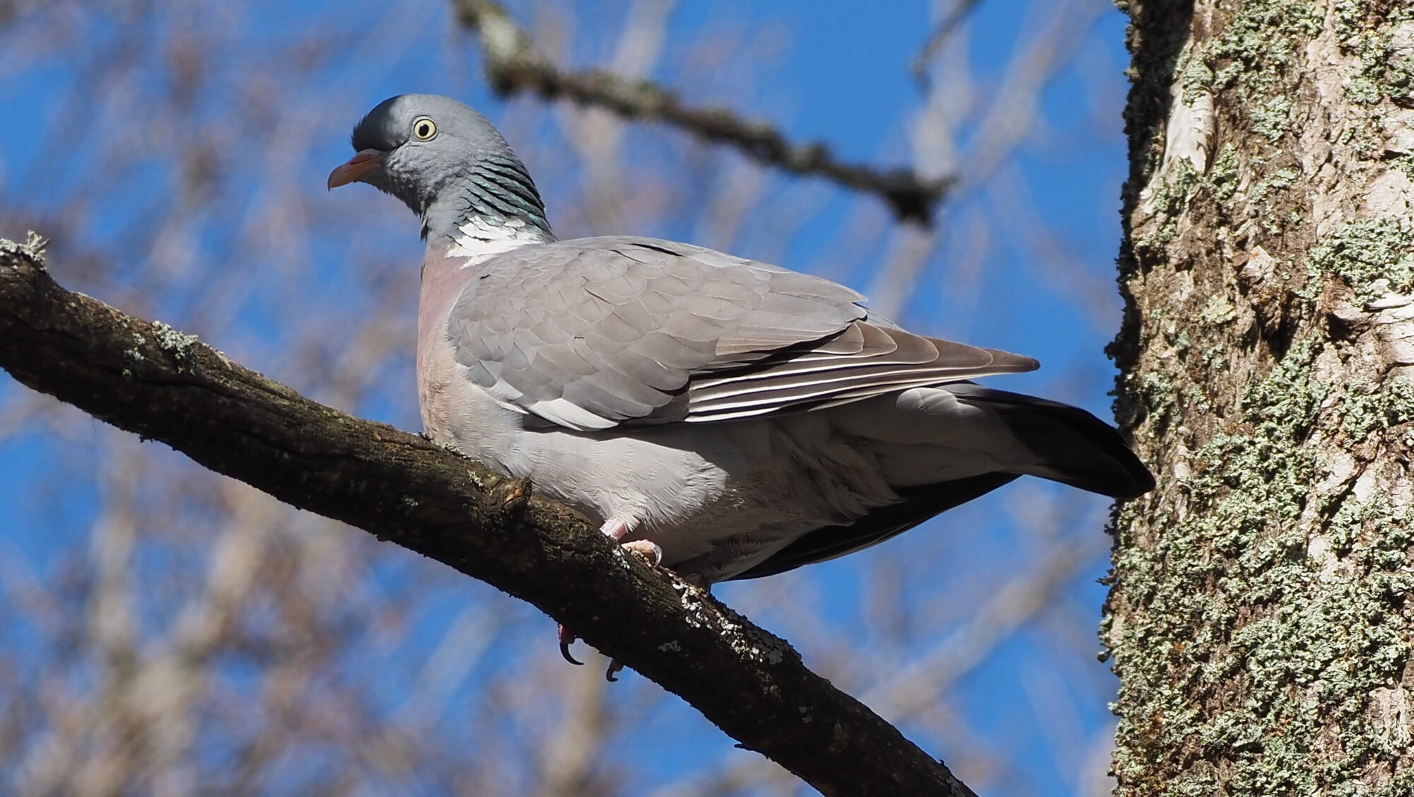 Valokuvaaja: Arja Valtonen
