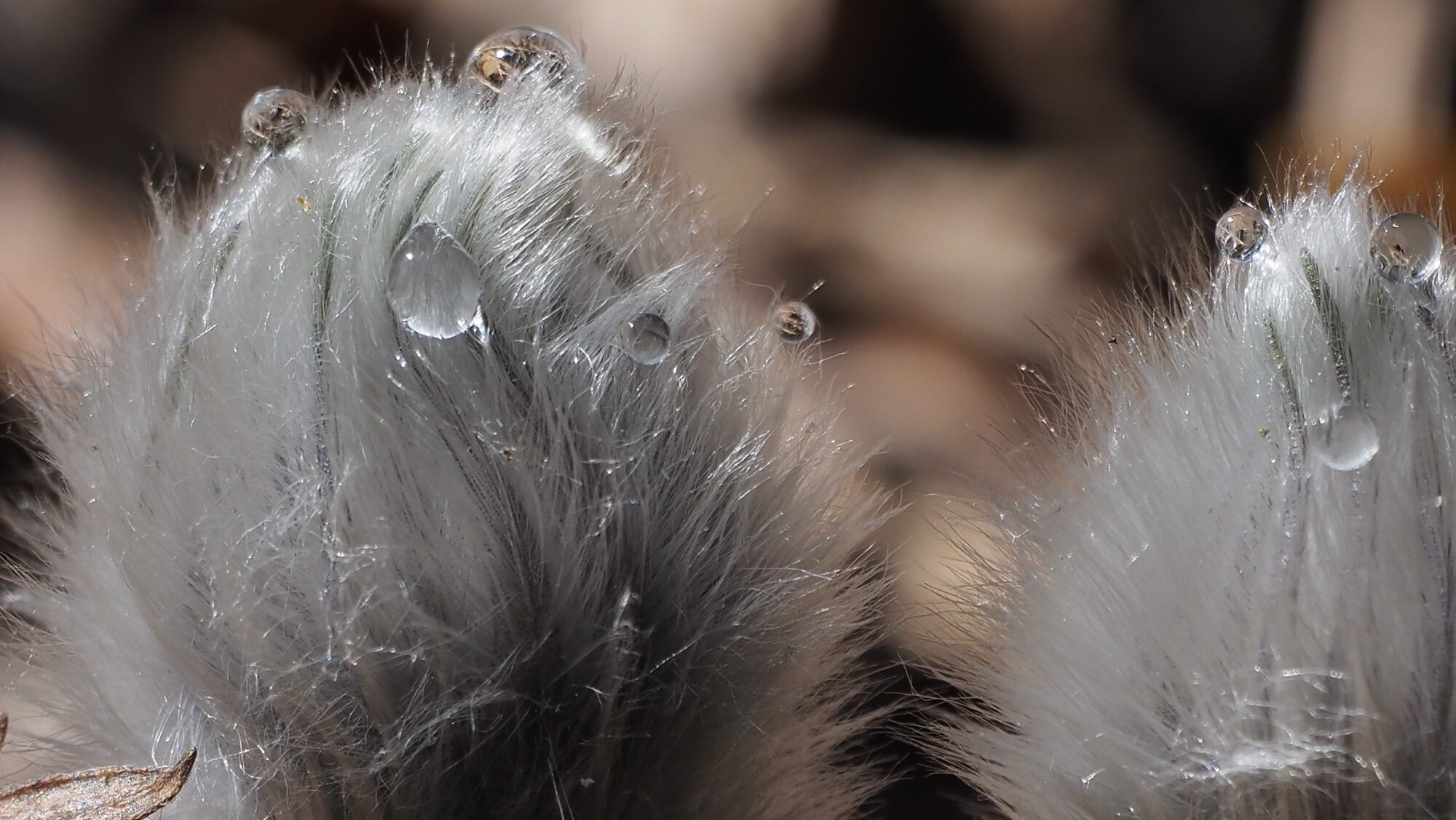 Valokuvaaja: Arja Valtonen