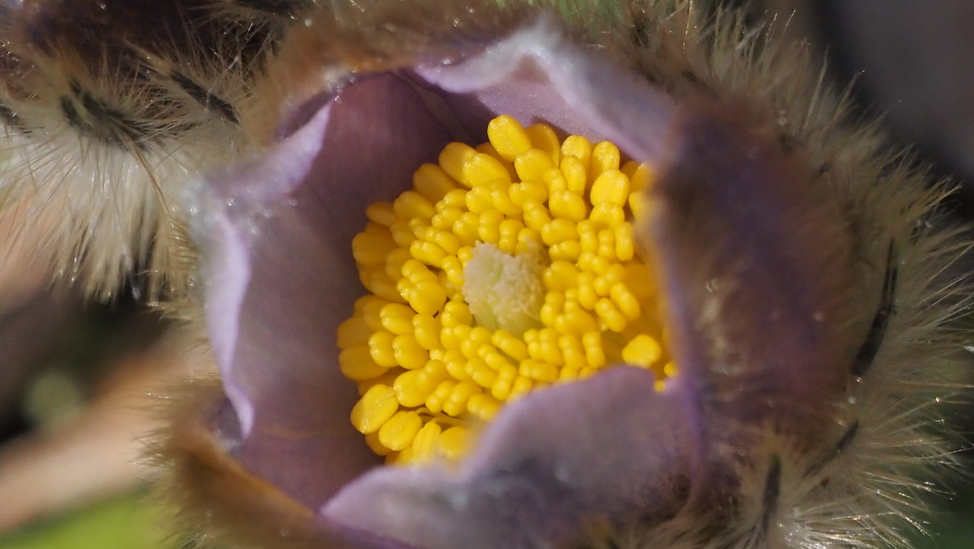 Valokuvaaja: Arja Valtonen Valokuvaaja: Arja Valtonen