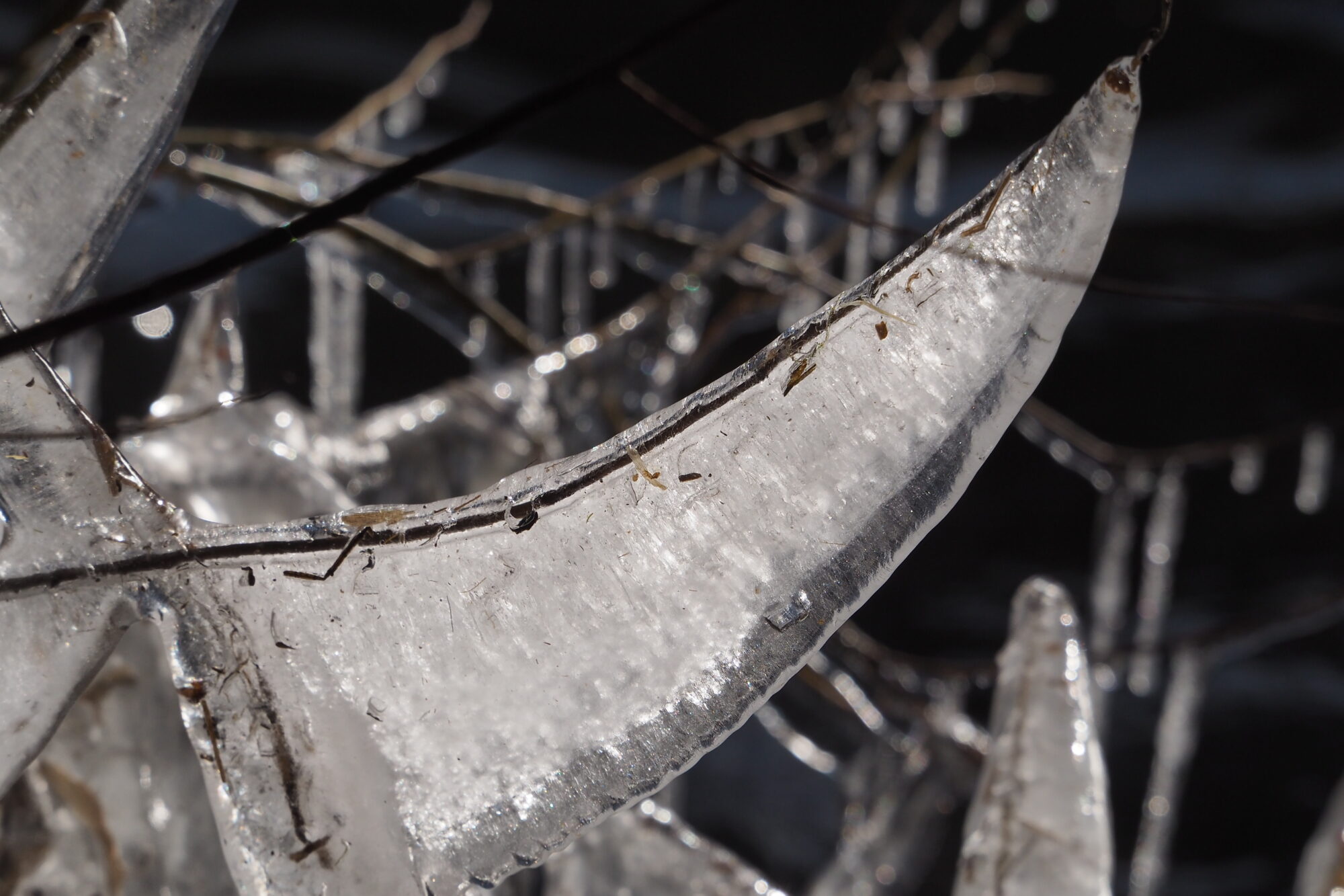 Valokuvaaja: Martti Valtonen