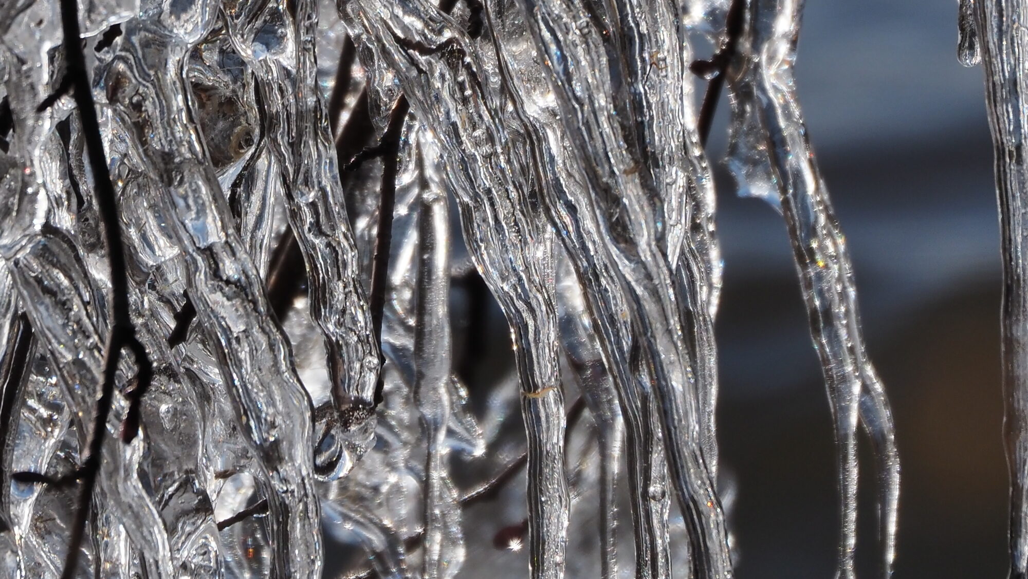 Valokuvaaja: Arja Valtonen