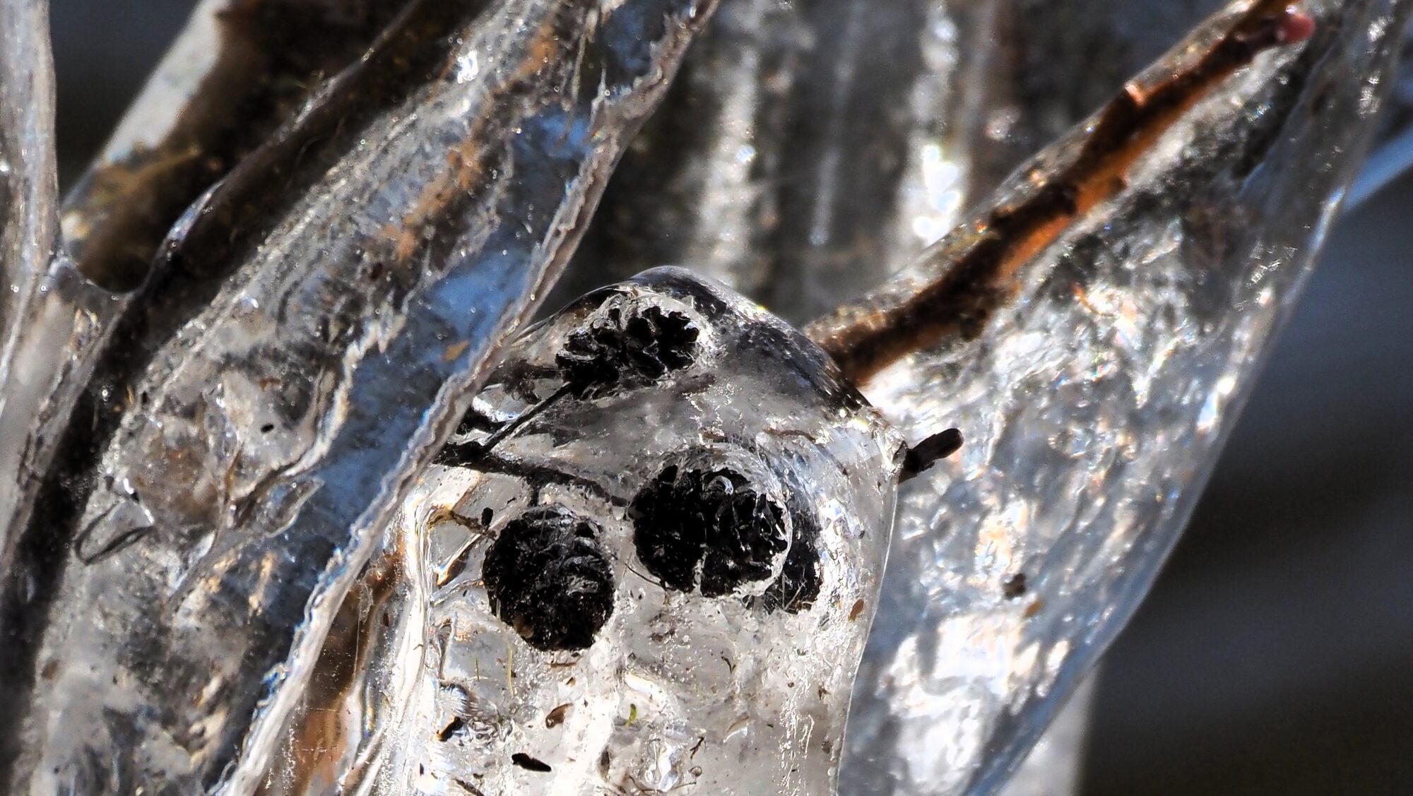 Valokuvaaja: Arja Valtonen