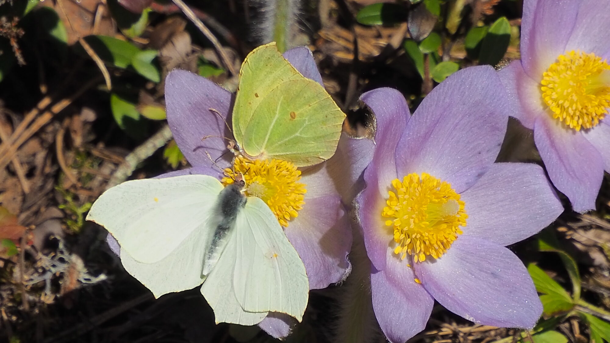 Valokuvaaja: Martti Valtonen