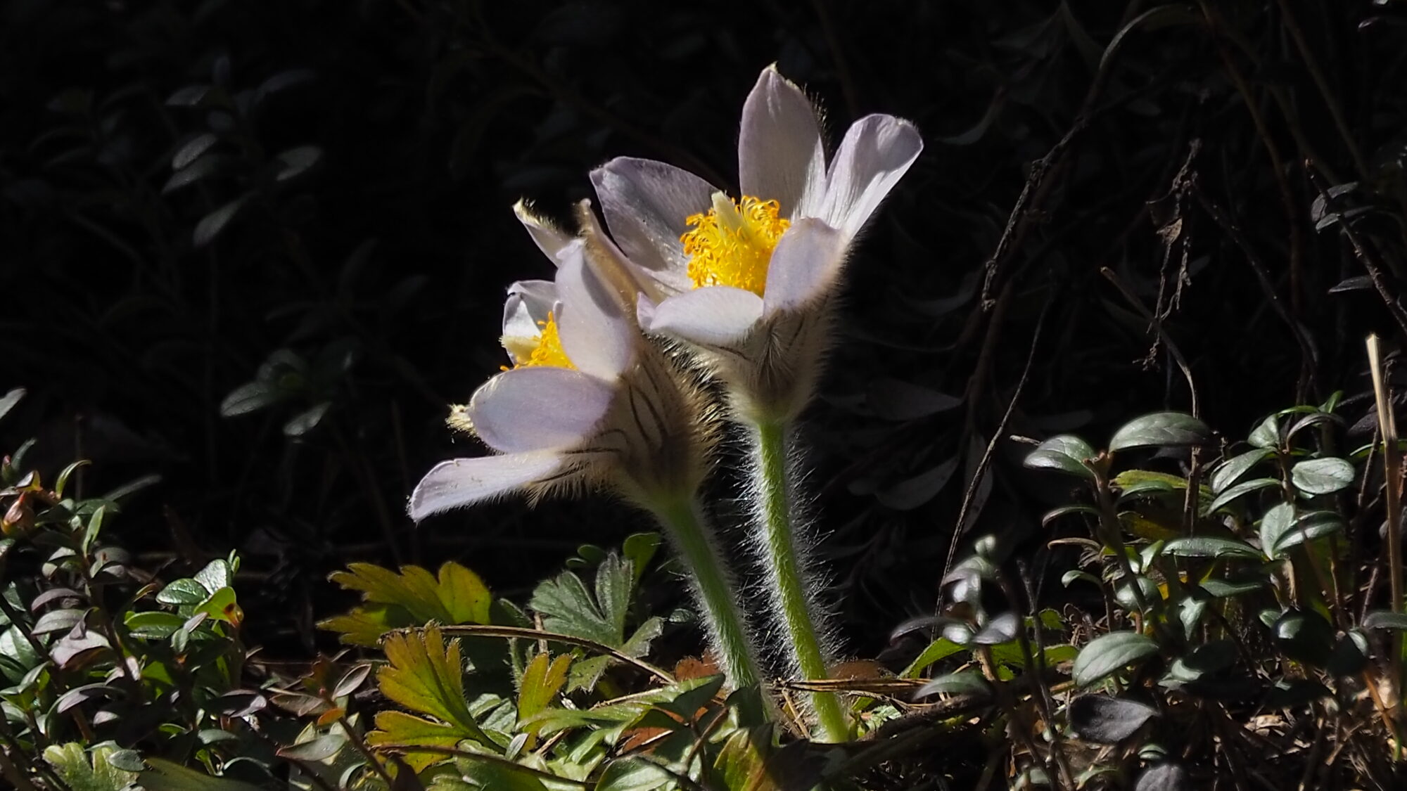 Valokuvaaja: Martti Valtonen