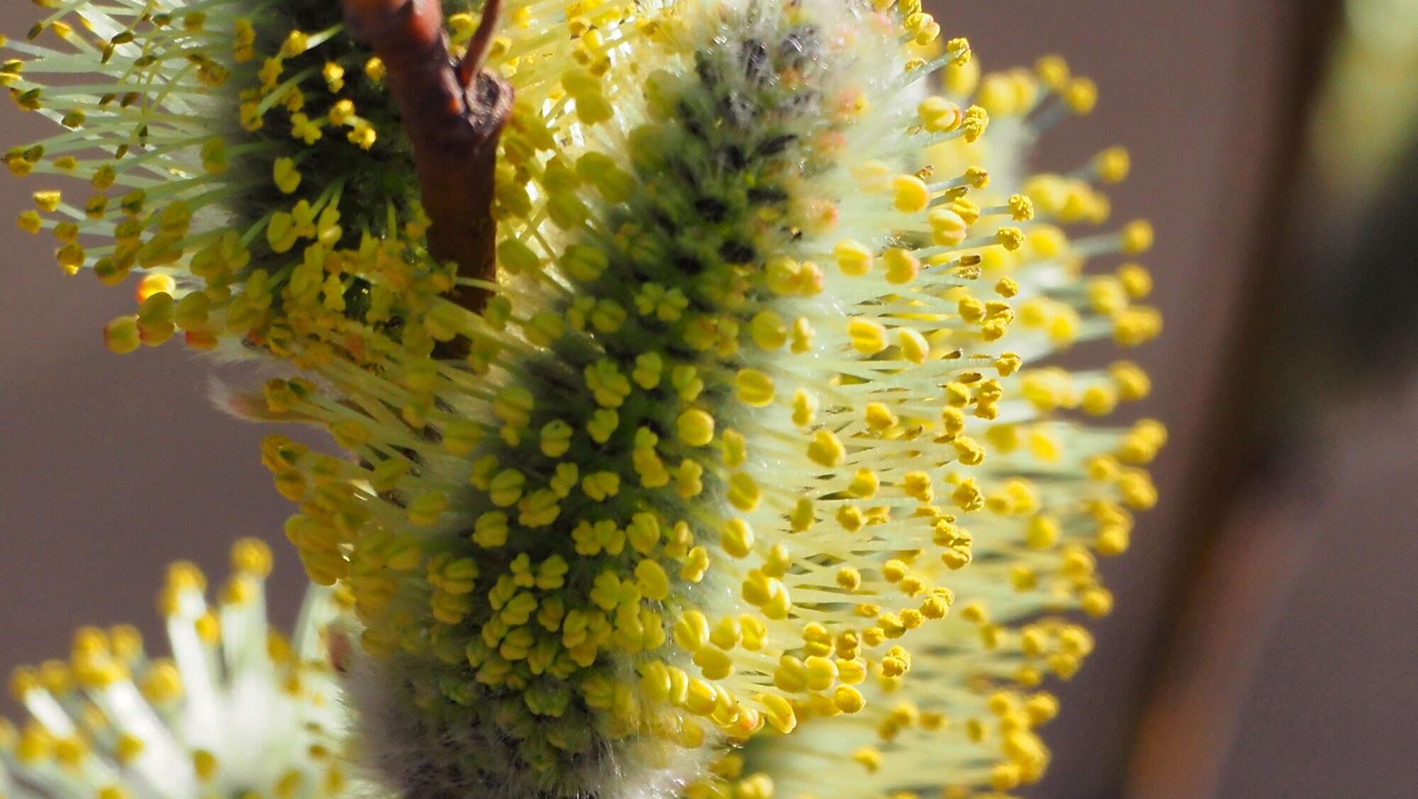 Valokuvaaja: Arja Valtonen