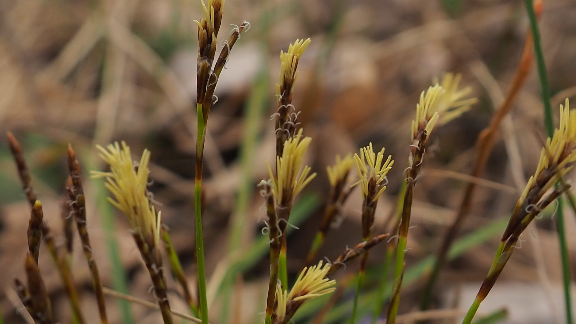 Valokuvaaja: Martti Valtonen
