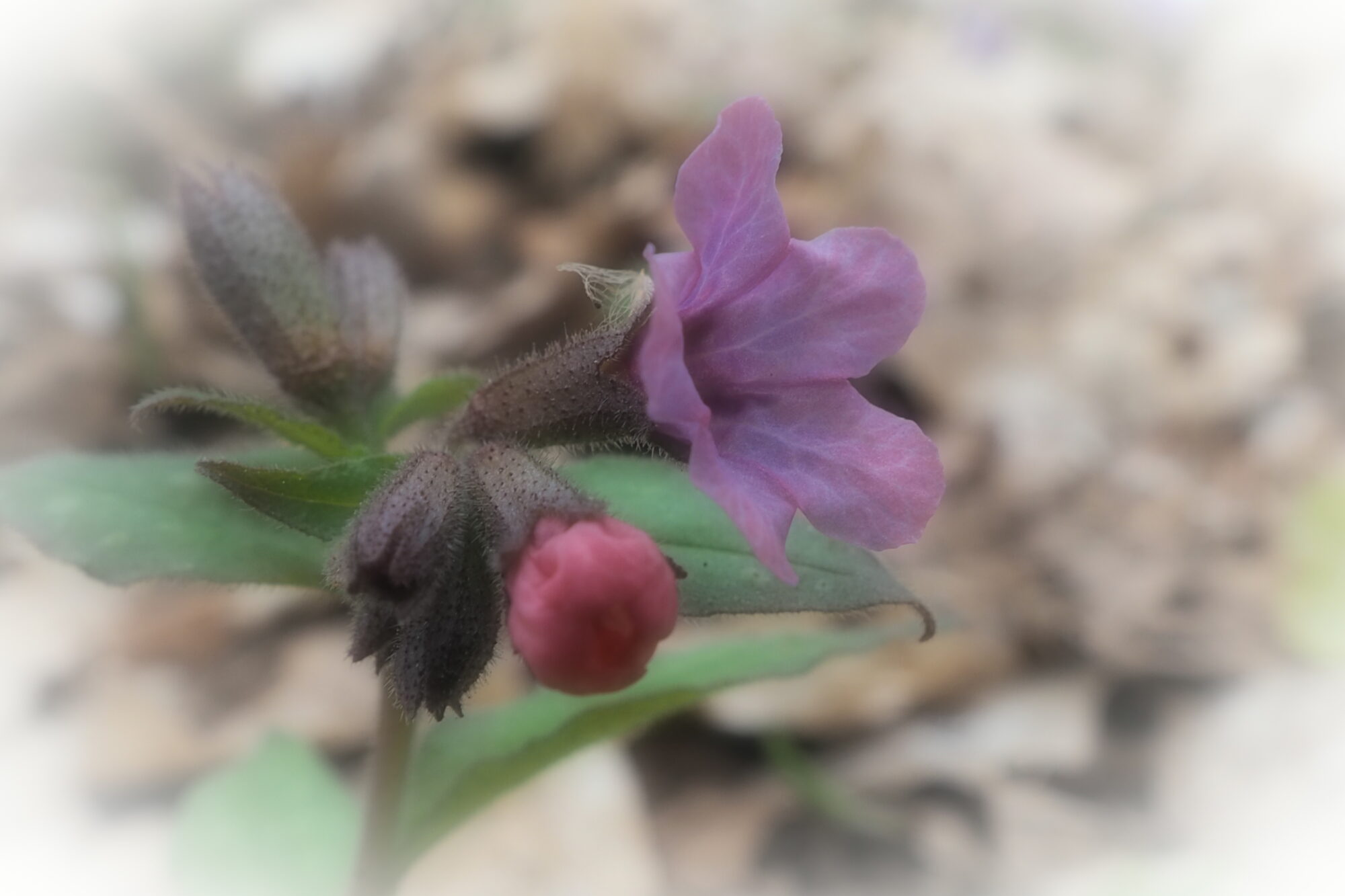 Valokuvaaja: Martti Valtonen