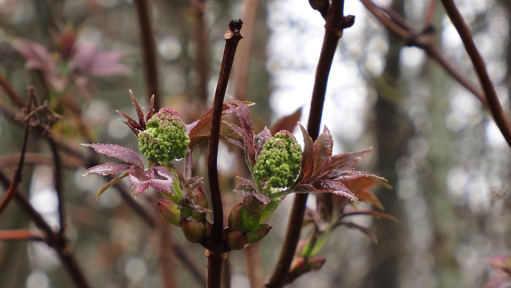 Valokuvaaja: Arja Valtonen