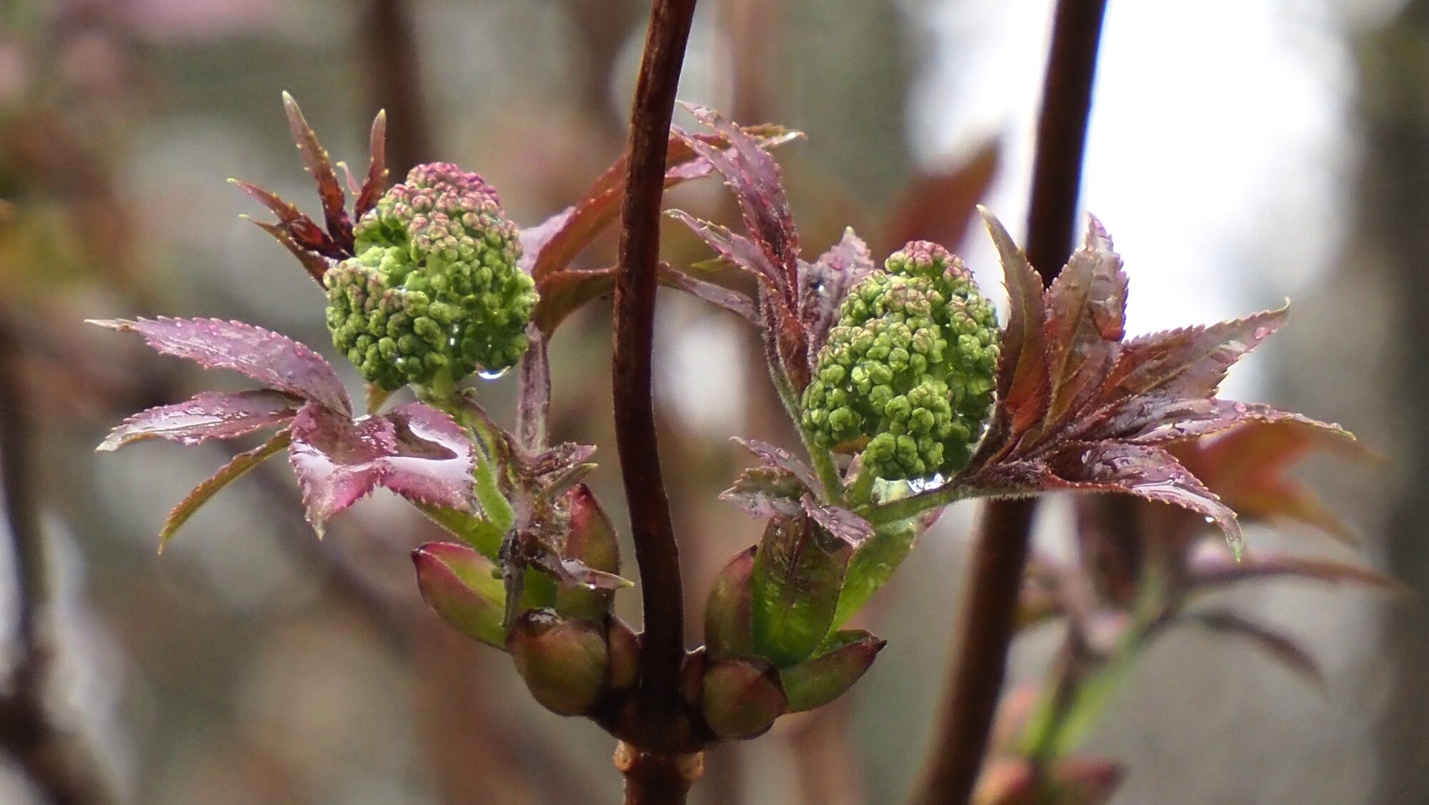 Valokuvaaja: Arja Valtonen