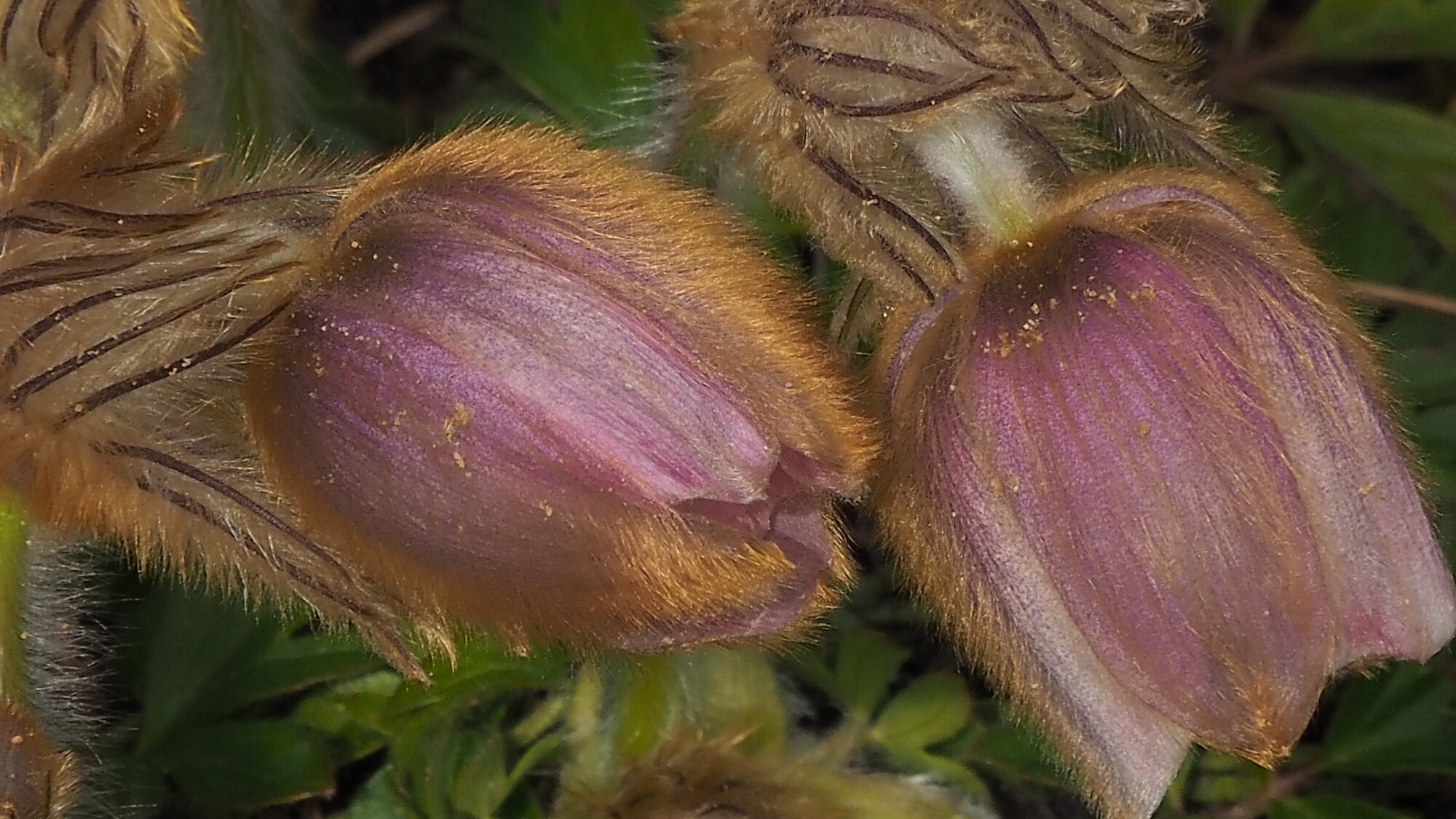 Valokuvaaja: Martti Valtonen